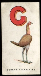 Tobacco Card, Ogdens, POULTRY ALPHABET, 1924, G - Game Fowl, #7