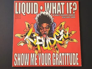 L-Fudge "Liquid / What If? / Show Me Your Gratitude" 12" Vinyl Talib Kweli - Picture 1 of 6