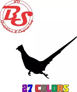 6 Zoll Fasanenfliege Wildtiere Vogel Jagd Jäger Hund Labor Kleinwild noBS - Bild 1 von 18