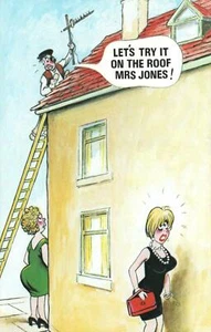 COMIC GROSERO ARRIESGADO BAMFORTH VAMOS A PROBARLO EN EL TECHO DE LA SEÑORA JONES POSTAL NUEVO - Imagen 1 de 2