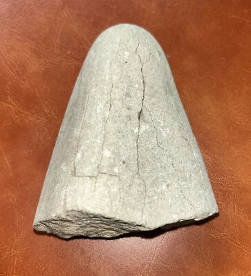 Prehistoric Tooth - Image 1 of 4