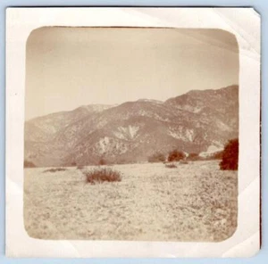 CATALINA BACK OF GOLF LINKS EARLY 1900's CALIFORNIA TOURIST SNAPSHOT PHOTOGRAPH - Picture 1 of 2