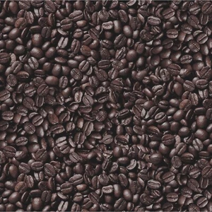 Elizabeth's Studio - Food Festival - Coffee Beans - Espresso, Fabric BTY - Picture 1 of 2