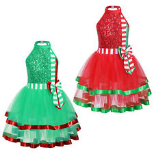 Child Girls Dancewear Dress Up Dresses Dancing Ball Gown Tulle Frilly Costume