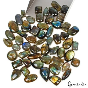 1300 Cts Natural Multi Shine Labradorite Mix Cabochon Loose 16-32mm Gemstones - Picture 1 of 5