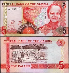Gambia 5 Dalasis 2006 (2013), RICAMBIO Z 01, UNC, P-25 - Foto 1 di 3