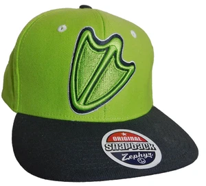 Oregon Ducks Hat Snapback Univ Zephyr Embroidery NCAA Lacrosse NCAA Cap - Bild 1 von 5