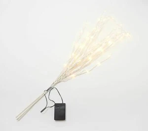 Luci Betlemme 36" Glitter Sprig con LED che cambiano colore bianco NUOVO - Foto 1 di 2