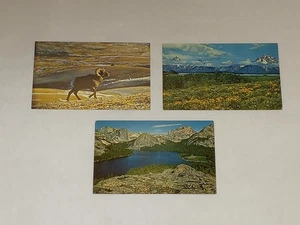 3 Wyoming Wildlife Postcards  Western United States Unposted - Bild 1 von 8