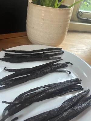 Organic Grade A Vanilla Pod Beans & FREE VANILLA POWDER  - Image 1 of 3