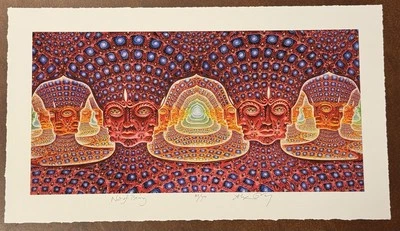 Póster Alex Grey impresión artística red de ser S/# 300 herramienta escenario concierto telón de fondo Foto 1 de 4