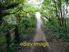 Photo 6x4 Path through the woods to footbridge over the M20 motorway Ashf c2008