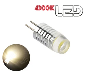 1 ampoule HP24 Feux de jour diurne Roulage LED Puissant 4300K HP 24-24W - Imagen 1 de 1