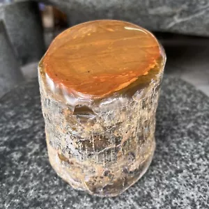 Espejo de madera petrificada opalizada de tronco natural raro 5600 gr muestra áspera pulida - Imagen 1 de 14