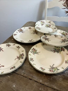 Platos en aerosol Royal Doulton Old Leeds - 3 ensaladas/postres y 4 panes y mantequilla - Imagen 1 de 7