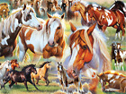Ceaco - Horses - Horse Collage - 500 Piece Jigsaw Puzzle