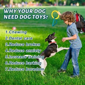 INTERACTIVE DOG CHEW TOYS, RUBBER SCENTED CHEWING PLAYTOY FOR AGGRESSIVE CHEWERS - Picture 1 of 6