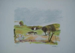 COLETTI NANDO PAESAGGIO XX sec. cm. 50 x 70 - Picture 1 of 1