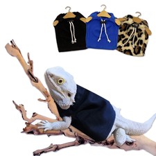 lizard accessories