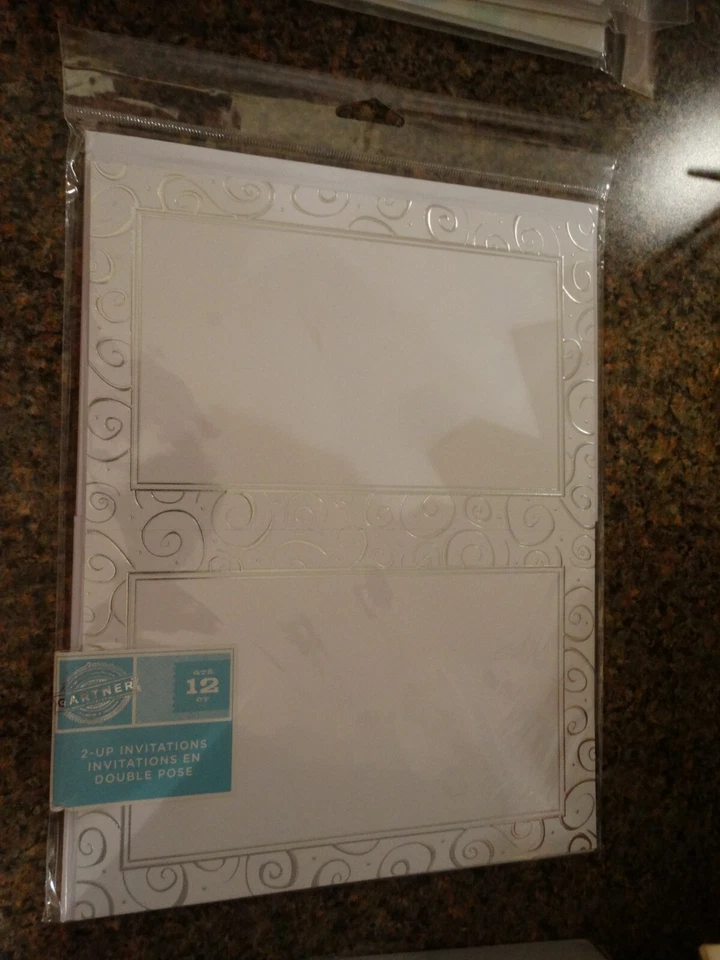 Nuevas invitaciones y sobres Gartner Studios Silver Swirl Border, 12 quilates en blanco Foto 1 de 1