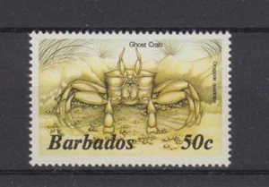 D. Peces animales marinos Barbados 626 cangrejo ** (mnh) - Imagen 1 de 1