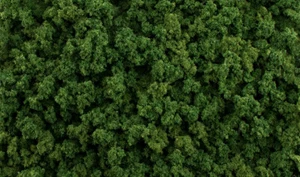 Woodland Scenics Foliage Clumps All Game Terrain Medium Green G6462 - Picture 1 of 3