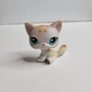 Littlest Pet Shop #224 Gato Crema Bronceado Manchas Punto Azul Ojos Rojo Imán AUTÉNTICO - Imagen 1 de 4