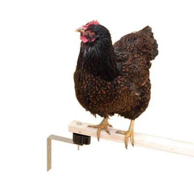 Anti-Milben-Set für den Stall - hält Milben von den Sitzstangen fern - Bild 1 von 4