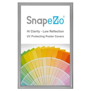 SnapeZo® Silver 14x22 Poster Frame - 1.2" Profile - Picture 1 of 5