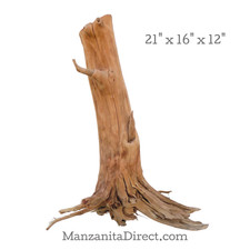 Manzanita Driftwood Stump, Aquarium or Reptile  from ManzanitaDirect 0926-13
