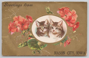 Antique Greetings from Mason City, IA Iowa Postcard Kitty Cats in Flower Circle - Picture 1 of 7