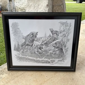 Dan Brewer Buffler Western Artist “Showing Off “ Wolf’s Scene FRAMED - Picture 1 of 9