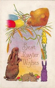 Vintage Postcard: Best Easter Wishes, Bunnies, Eggs, Chick, DB Posted 1908 - Picture 1 of 2