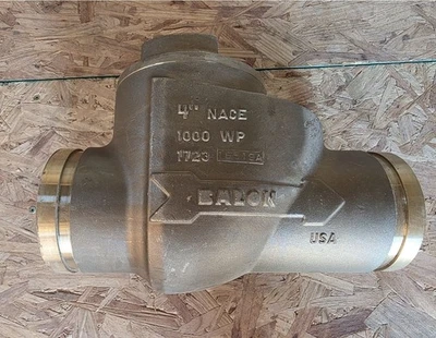 Válvula de retención Fullport de 4 pulgadas aluminio bronce ranurado (caja abierta)  Foto 1 de 4