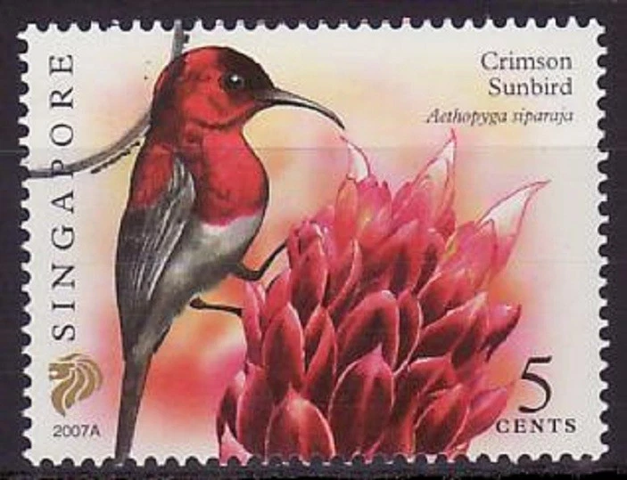 Specimen, Singapore Sc1246 Bird, Crimson Sunbird. - Image 1 of 1