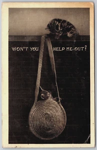 Postcard Cats Tabby Kitten in Hanging Straw Bag Won't You Help Me Out 1909 - Foto 1 di 2