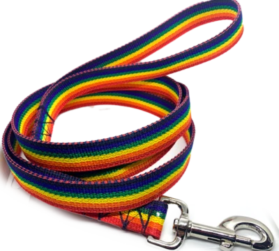 Correa para perro arco iris de 1 pulgada de ancho, correa Pride LGBTQ Foto 1 de 4
