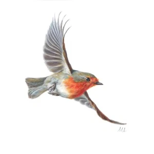 ORIGINAL Watercolour Painting "Robin in Flight" 9"x9" Bird by Mila Ansell - Picture 1 of 4