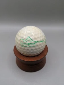 Eighteen Pastures Logo Golfball Spalding Sammlerball British Columbia - Bild 1 von 7