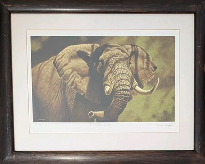 STEPHEN GAYFORD (b.1954) Ltd Ed  Print "OUT OF THE SHADOWS" Signed With COA - Image 1 of 4