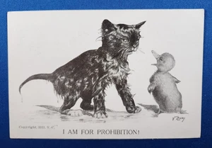 1911 Cartolina Gatto bagnato anatroccolo IO SONO PER IL PROIBIZIONISMO Colby Animal #2 Fullerton NE - Foto 1 di 2