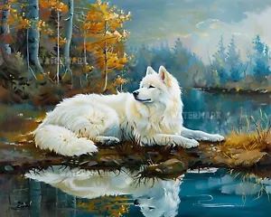 Vizsla Dog Lounging on Beach Tow8x10 Matte Print Samoyed by Lake with Reflection - Picture 1 of 8
