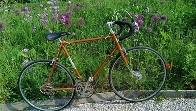 Vélo de course vintage  NORD & LOIRE Olympique de ST ETIENNE  - Photo 1/4