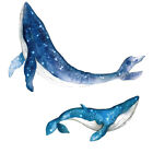 Reusable Whale Wall Decals for Kids Room and Nursery - 2 Sets