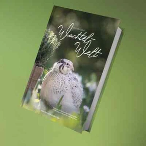 Wachtelgold Federgold Wunderbare Wachtel Welt Buch Wachtelzucht Krankheiten Brut - Bild 1 von 1