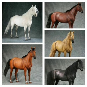Mr.Z 1/6 Scale Animal Resin Simulation Toy Thoroughbreds Horse Figure Model New - Picture 1 of 16