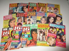 1970's magazine LOT of 15 TIGER BEAT STAR 16 complete issues with pinups RARE