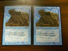 MTG Magic The Gathering Arabian Nights Giant Tortoise x2 (1993) Excellent