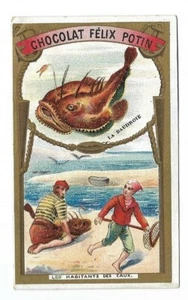 Les habitants des eaux -- Chromo Chocolat Félix Potin - Trade card - Imagen 1 de 2