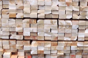 28x45 Konstruktionsholz gehobelt/gerundet sib. Lärche, 5,10 m, B/C-Sort., SOPO 3 - Bild 1 von 1